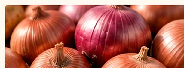 Fresh onions